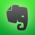 Imagem do aplicativo Evernote