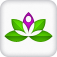Imagem do aplicativo Yoga Studio: Mind & Body